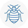 Bed Bug Extermination In Stourport On Severn