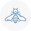 Bee Nest Removal Stourport On Severn