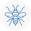 Stourport On Severn Hornet Nest Removals