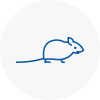 Mice Exterminators In Stourport On Severn