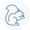 Stourport On Severn Rodent Removals