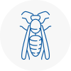 Stourport On Severn Wasp Nest Removal